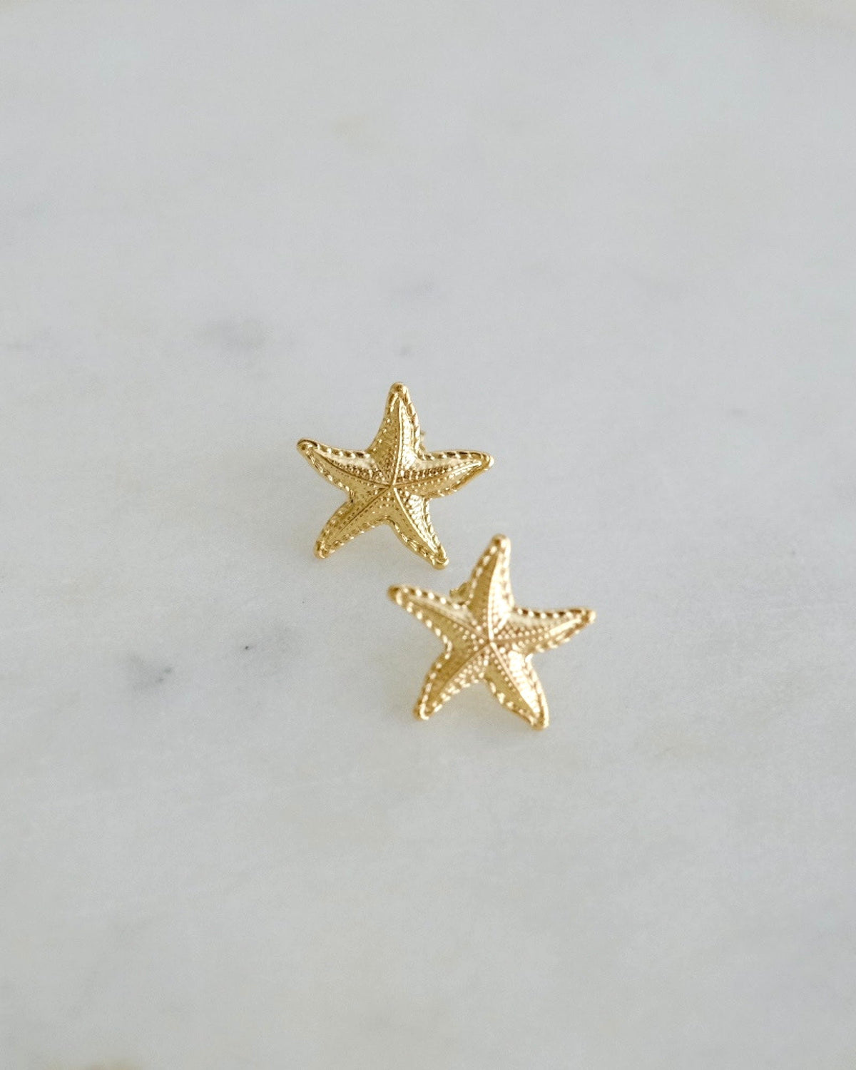 Starfish Earrings