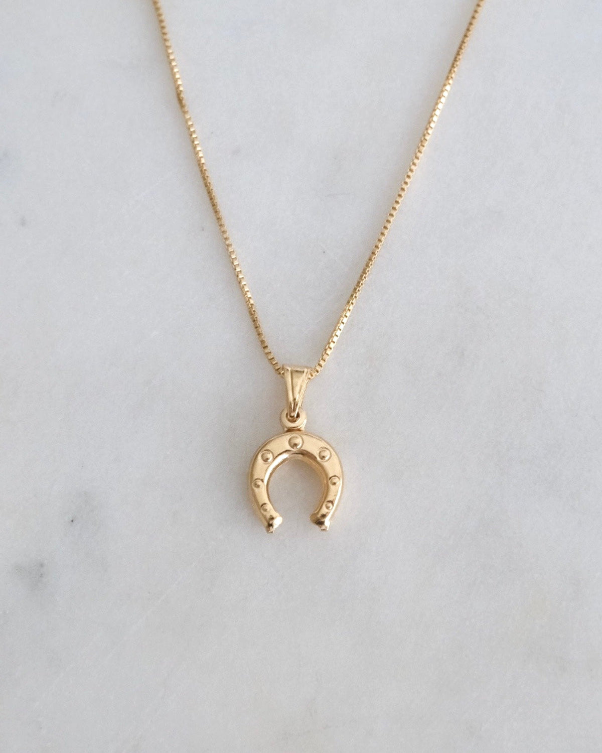 Horseshoe Necklace