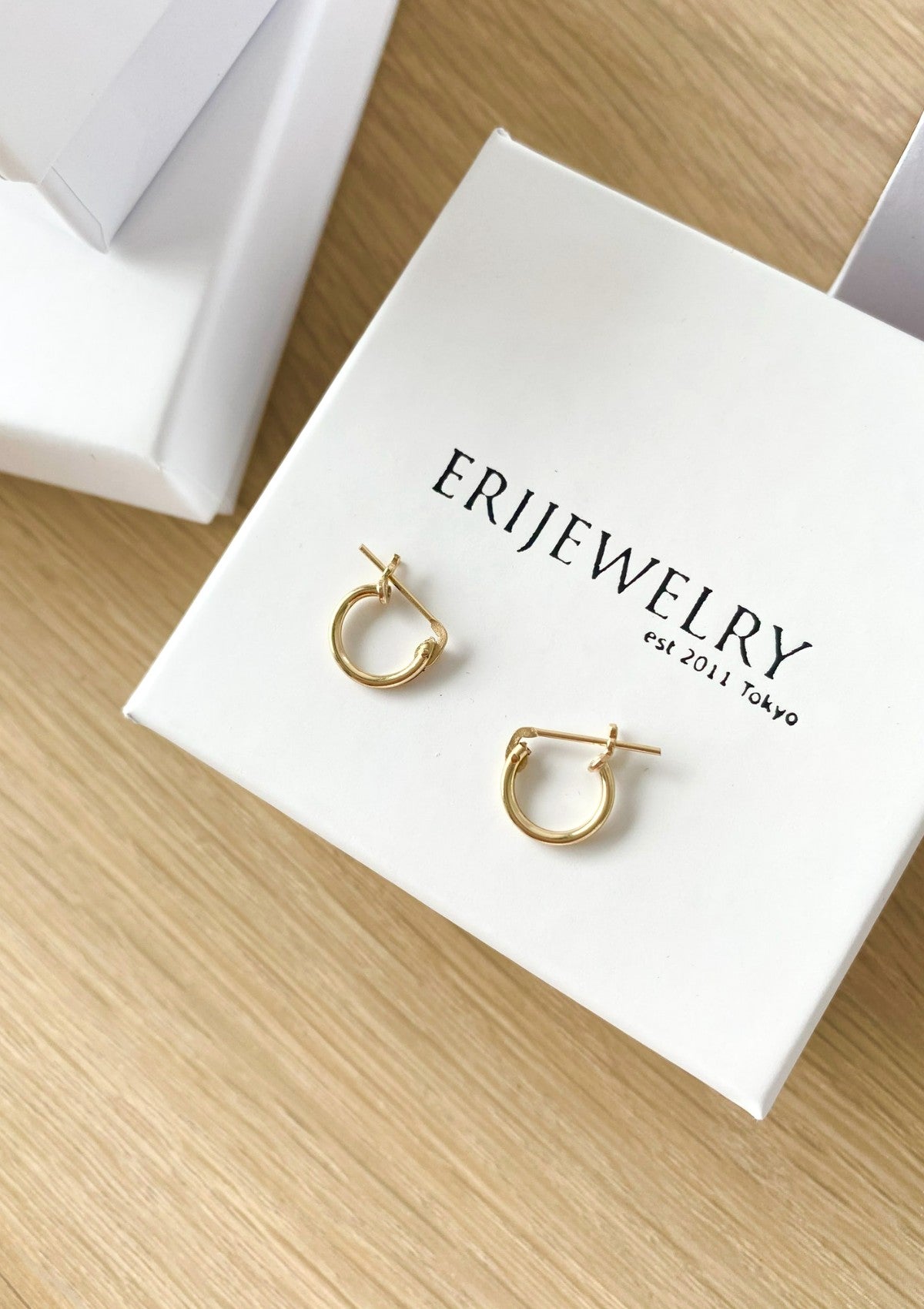 Small Hinged Hoops (10mm)